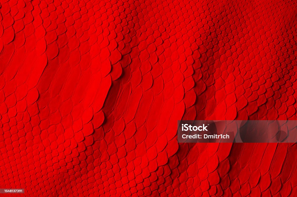 Red Snake Skin Texture With Natural Pattern Python Leather Surface ...