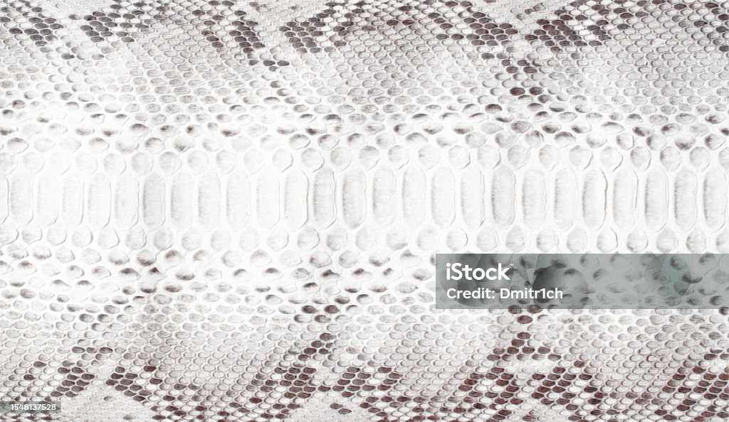 White Snake Skin Texture With Natural Pattern Python Leather Surface ...