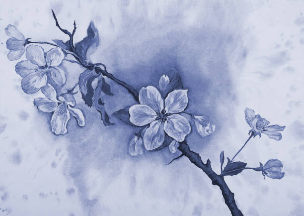 istock illustration watercolor landscape flowering apple tree branch in blue 1548143905