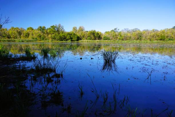 istock Fairfield Lake State Park Texas 1548190946