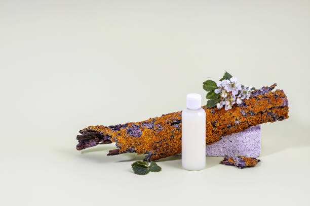 istock Cosmetics container, tree bark with lichens and branches of blackberry flowers on a light green background 1548204369