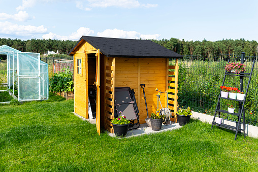 Un cobertizo de jardín de madera de pie sobre una base de hormigón en un jardín, flores y herramientas visibles. photo