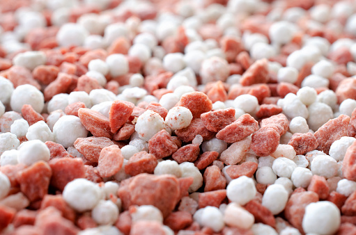 Potassium chloride and superphosphate - close-up of red and white colored mineral fertilizer, top view. Red and white background of potassium chloride and superphosphate fertilizer, top view