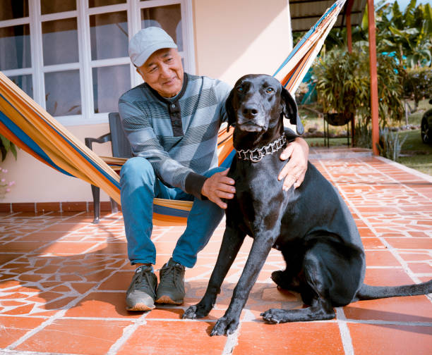istock Adult man sitting in hammock with a dog 1548244098