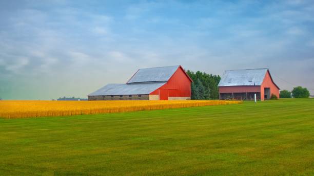 istock Red Barn with wheat field- Tipton County, Indiana 1548244634