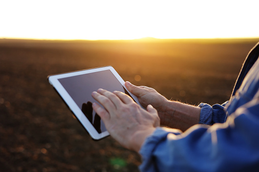 Cropped shot of male farmer's hands use digital tablet on plowed field for control of soil quality, land readiness for sowing crops and planting vegetables. Smart farming technology and agriculture.