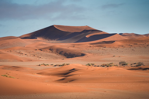 Group of safari off road car trip in the desert in Abu Dhabi