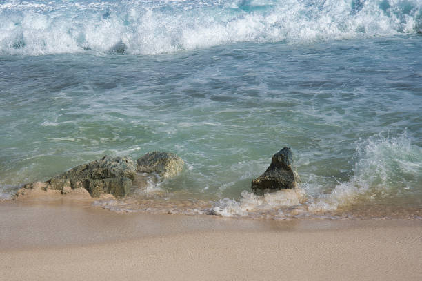 istock Waves crushing on the shore, white sandy beach and coral bed, Mahe Seychelles 1548332997