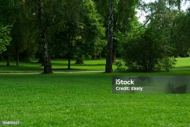 Green Park Mit Großen Alten Decideous Bäumen Und Schattige Bereiche Stockfoto und mehr Bilder von Baum