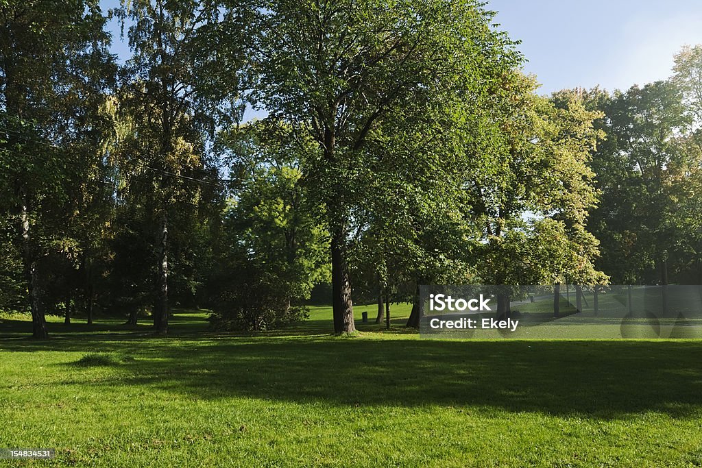 Green park  with large old decideous trees and shaded areas.  Lawn Stock Photo