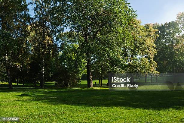 Green Park With Large Old Decideous Trees And Shaded Areas Stock Photo - Download Image Now