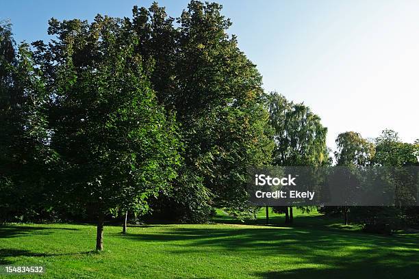 Green Park Mit Großen Alten Decideous Bäumen Und Schattige Bereiche Stockfoto und mehr Bilder von Baum