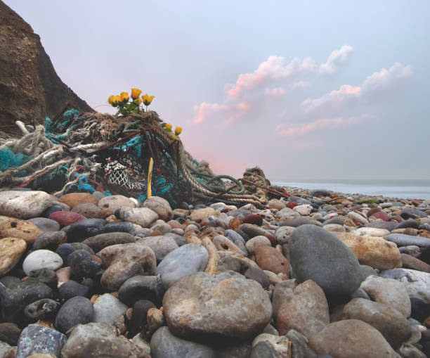 This photo captures the beauty of an English beach at sunset. The sky is ablaze with color, from the fiery orange of the sun to the deep purples and blues of the clouds. The beach is deserted, save for a few rocks and a pile of driftwood. The only sound is the gentle lapping of the waves against the shore.