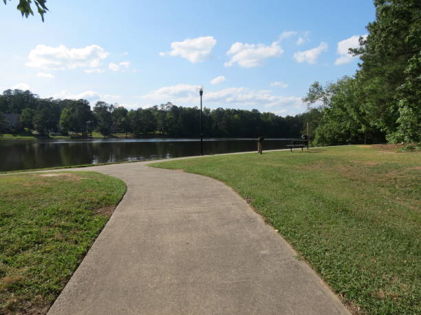 istock Walking Trail Leading to Lake 1548376223