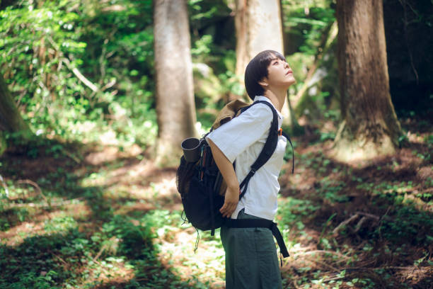 istock Woman walking in the woods. 1548386618