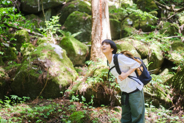 istock Woman walking in the woods. 1548386637