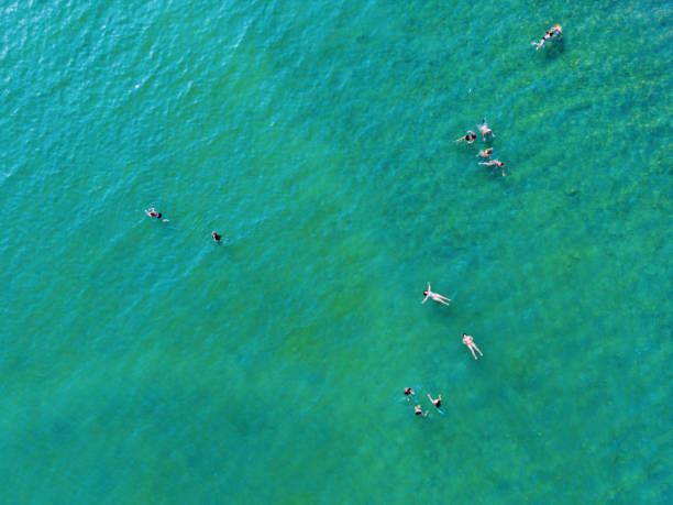 istock Bird's eye view of the sea 1548393263