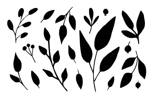Vector illustration of Foliage and branches, berries, autumn leaves. Black silhouette. Simple vector set. Nature and vegetation.
