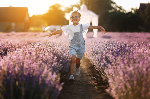 happy child girl is walking in lavender field on sunset. Smiling kid in suglasses , jeans jumpsuit is having fun in nature on summer day. Cheerful little girl. happy childhood concept.