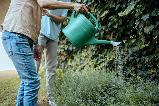 Mother and son are watering the grass in the yard