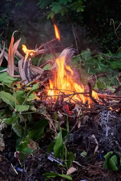 Photo of Burn the garbage behind the house with a strong fire