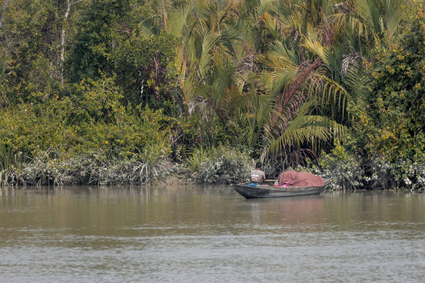 this photo was taken from sundarbans national park,Bangladesh.