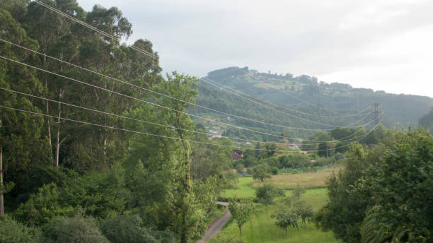 istock High tension wires in green valley 1548540448