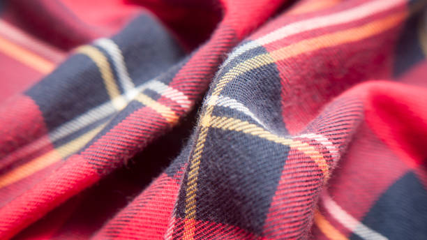 istock Red checker flannel shirt 1548542608