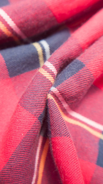 istock Red checker flannel shirt 1548543122