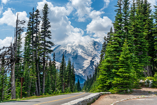 A road at magnificent Mount Rainier in Washington State.