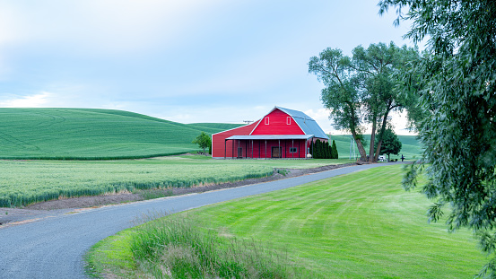 Image of Barn on farm land with flowering bush next to wire fence in middle of green fields