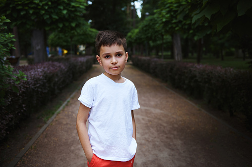 Portrait of a handsome Caucasian school age boy 9 years old, in white t-shirt, looking at camera, standing on alley of a park, walking outdoors on beautiful summer day. Kids. Children. Happy childhood