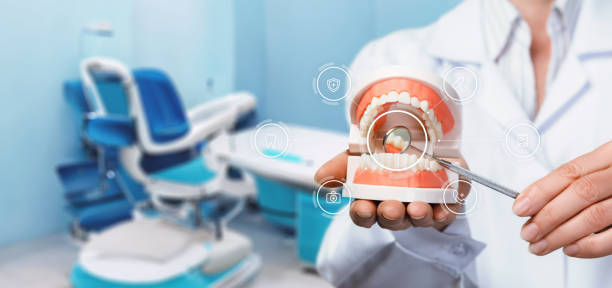 의사는 입과 치아의 모델을 보여줍니다. - dentist office work tool hygiene mirror 뉴스 사진 이미지