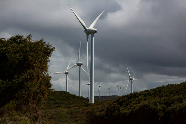 istock Albany Wind Farm in Western Australia 1548703203