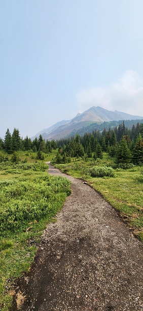 Mountain Pathway (Highwood Meadows)