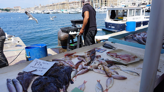 Marseille, France - May 29, 2023: French fisherman selling fresh fish at Vieux Port in Marseille, France. Marseille is France's largest city on the Mediterranean coast and the largest commercial port.