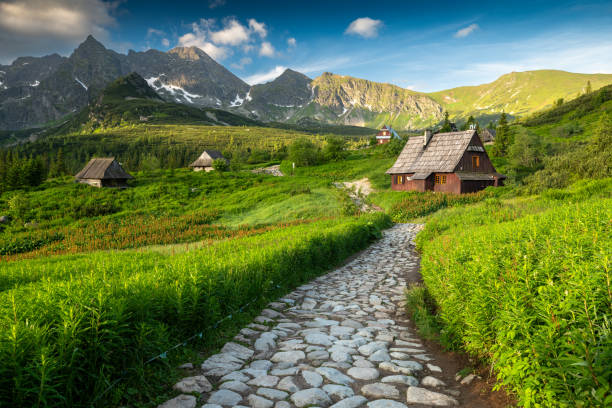 istock Stone path leading through lush green valley with mountains in background 1548756538