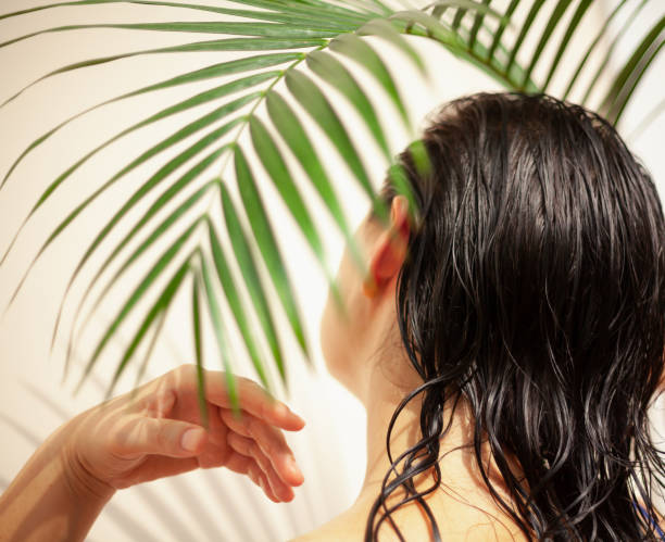 istock Woman with wet hair under palm tree branch 1548813521