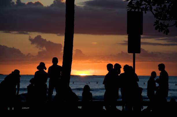 pôr do sol sobre a praia de waikiki, havaí - building exterior hawaii islands palm tree beach - fotografias e filmes do acervo
