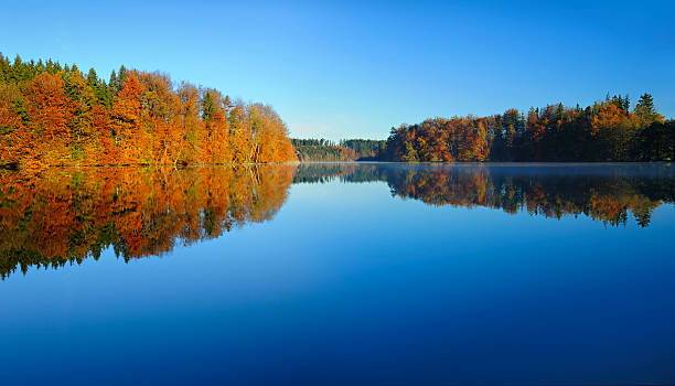 kolorowy jesień las odzwierciedlające w spokojne jezioro rano - clear sky reflection sunlight autumn zdjęcia i obrazy z banku zdjęć