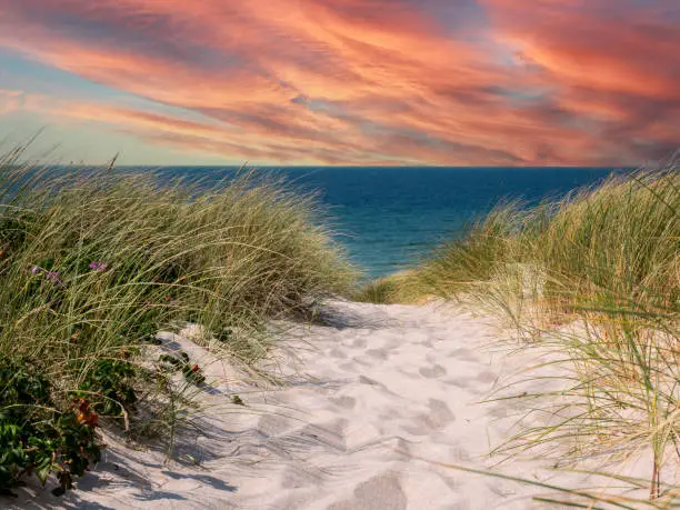 Photo of baltic sea beach at sunset