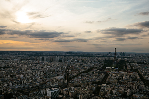 Paris in summer from above