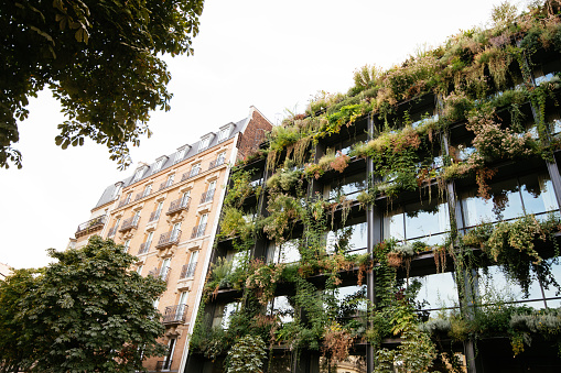 Eco friendly green building in Paris