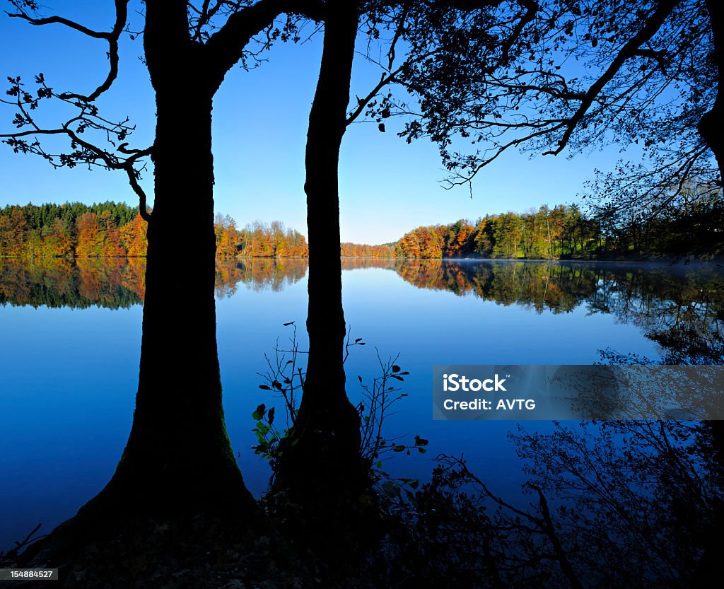 Hermosos colores otoñales en el bosque de que reflejan tranquilo lago al amanecer - Foto de stock de Japón libre de derechos