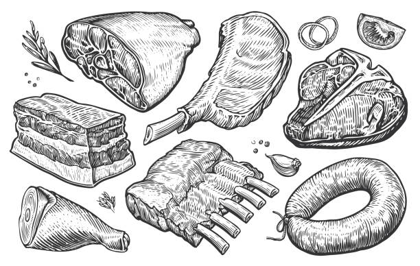 illustrations, cliparts, dessins animés et icônes de produits de viande crue fraîche. croquis de style gravé. illustration vectorielle dessinée à la main pour le menu d’une boucherie ou d’un restaurant - roast beef illustrations
