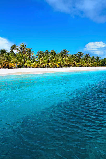istock Lonely tropical island in the Caribbean 154885545