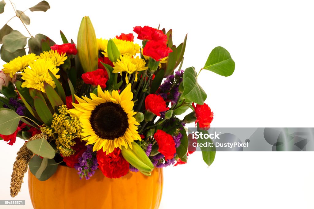 Tesoro de calabaza - Foto de stock de Amarillo - Color libre de derechos