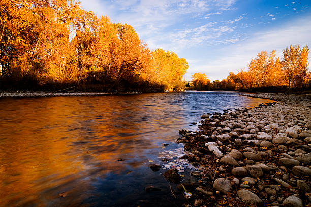 Boise River Autumn Beautiful autumn reflection along Boise River in Boise, Idaho, USA on a fine autumn evening. boise river stock pictures, royalty-free photos & images