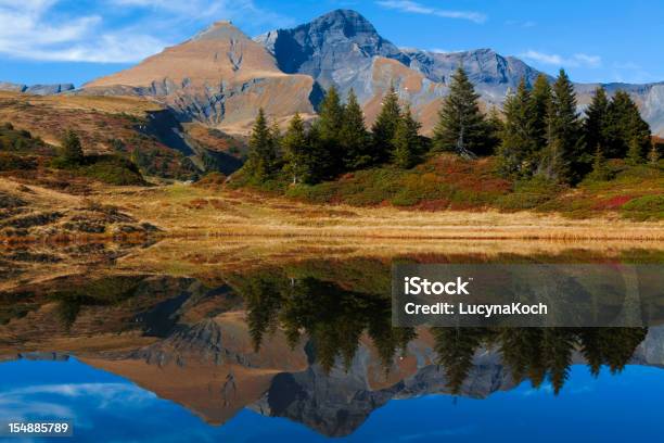 Mit Schwarzhorn Teich Und Gemschiberg - Fotografias de stock e mais imagens de Abeto - Abeto, Alpes Europeus, Amarelo