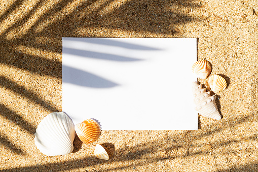 Paper sheet  with copy space on sand texture sun beach and palm branch shadow